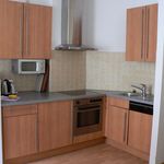 Rent 1 bedroom apartment of 47 m² in Dresden