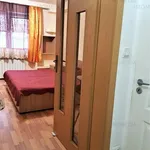 Rent 1 bedroom apartment of 21 m² in Timisoara