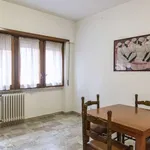 Rent 1 bedroom apartment in rome