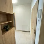 Rent 4 bedroom house in České Budějovice