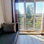 Rent 1 bedroom apartment of 37 m² in Szczecin