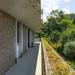 Rent 6 bedroom apartment of 250 m² in Albano Laziale