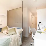 Rent 1 bedroom flat in Brighton