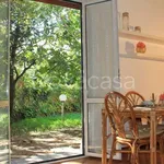 Rent 3 bedroom apartment of 80 m² in Anzio