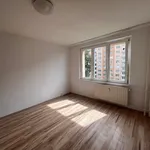 Rent 1 bedroom apartment in Chomutov