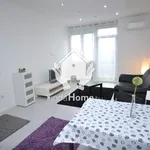 Rent 2 bedroom apartment of 43 m² in Debrecen