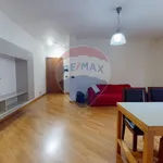 Rent 3 bedroom apartment of 100 m² in Perugia