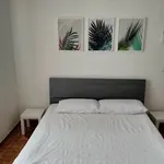 Rent 4 bedroom apartment of 100 m² in Latina