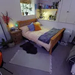 Rent 1 bedroom student apartment in 14