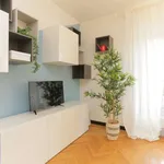 Rent 1 bedroom apartment in milan