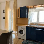 Rent 2 bedroom apartment of 110 m² in Carate Brianza