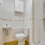 Pronajměte si 5 ložnic/e byt o rozloze 95 m² v Capital City of Prague