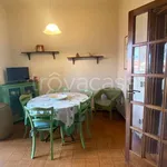 Rent 5 bedroom apartment of 100 m² in Lucca