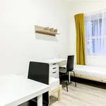 Rent 1 bedroom apartment in Brno