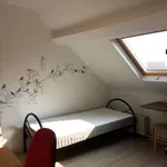 Louez une chambre de 50 m² à brussels