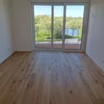 Rent 3 bedroom apartment of 120 m² in Dresden