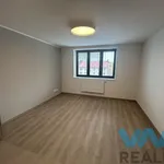 Rent 2 bedroom apartment of 48 m² in Ostrava