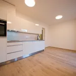 Pronajměte si 1 ložnic/e byt o rozloze 33 m² v Capital City of Prague