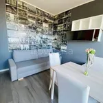 Rent 2 bedroom apartment of 45 m² in Milano