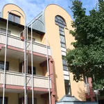 Miete 1 Schlafzimmer wohnung von 24 m² in Mannheim