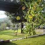 Single family villa Cegliolo 51, Cortona