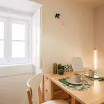 Rent 1 bedroom apartment in Lisbon