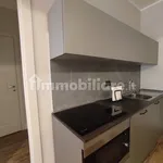 Rent 2 bedroom apartment of 55 m² in Turin