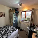 Rent 6 bedroom house in Worcester