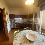 Rent 5 bedroom apartment of 100 m² in Lucca