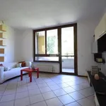 Rent 3 bedroom apartment of 80 m² in Brugherio