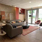 Rent 2 bedroom apartment of 41 m² in Toulouse