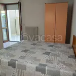 Rent 3 bedroom apartment of 80 m² in Ravenna