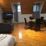  appartement avec 1 chambre(s) en location à Montreal