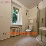 Pronajměte si 1 ložnic/e byt o rozloze 28 m² v Havířov