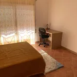 Rent 4 bedroom apartment in Covilha