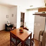 Rent 2 bedroom apartment of 50 m² in Pisa