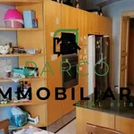 Rent 4 bedroom apartment of 170 m² in Torino