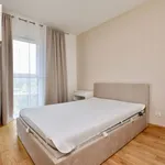 Rent 2 bedroom apartment of 46 m² in Rzeszów