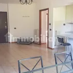 Rent 3 bedroom apartment of 80 m² in Perugia