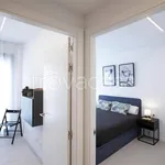 Rent 3 bedroom apartment of 75 m² in Bolzano