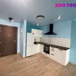 Rent 2 bedroom apartment in Olomouc