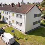 Rent 2 bedroom apartment of 49 m² in Braunschweig