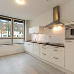 Rent 5 bedroom house of 130 m² in Kastelenbuurt