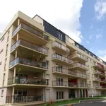 Rent 3 bedroom apartment of 60 m² in Le Mans