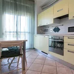 Rent 2 bedroom apartment of 35 m² in Bologna