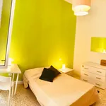 Rent 4 bedroom apartment in Bologna