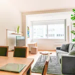 Rent 1 bedroom apartment in Wien