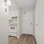 Rent 1 bedroom apartment in Windsor, ON