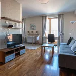 Rent 2 bedroom apartment of 45 m² in Krakow