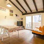 Rent 2 bedroom apartment of 49 m² in Bologna